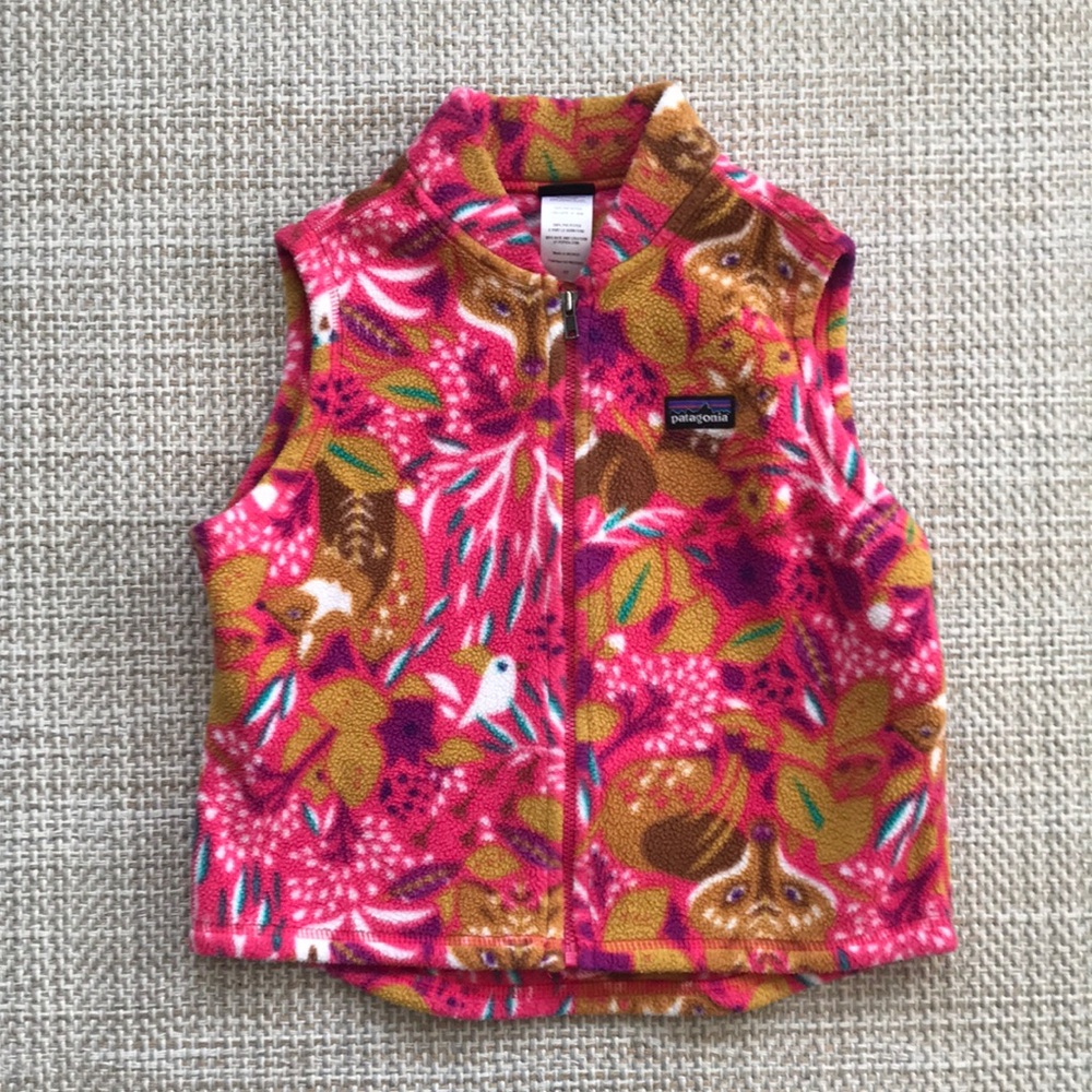 Patagonia Fleece Vest (size 4T)